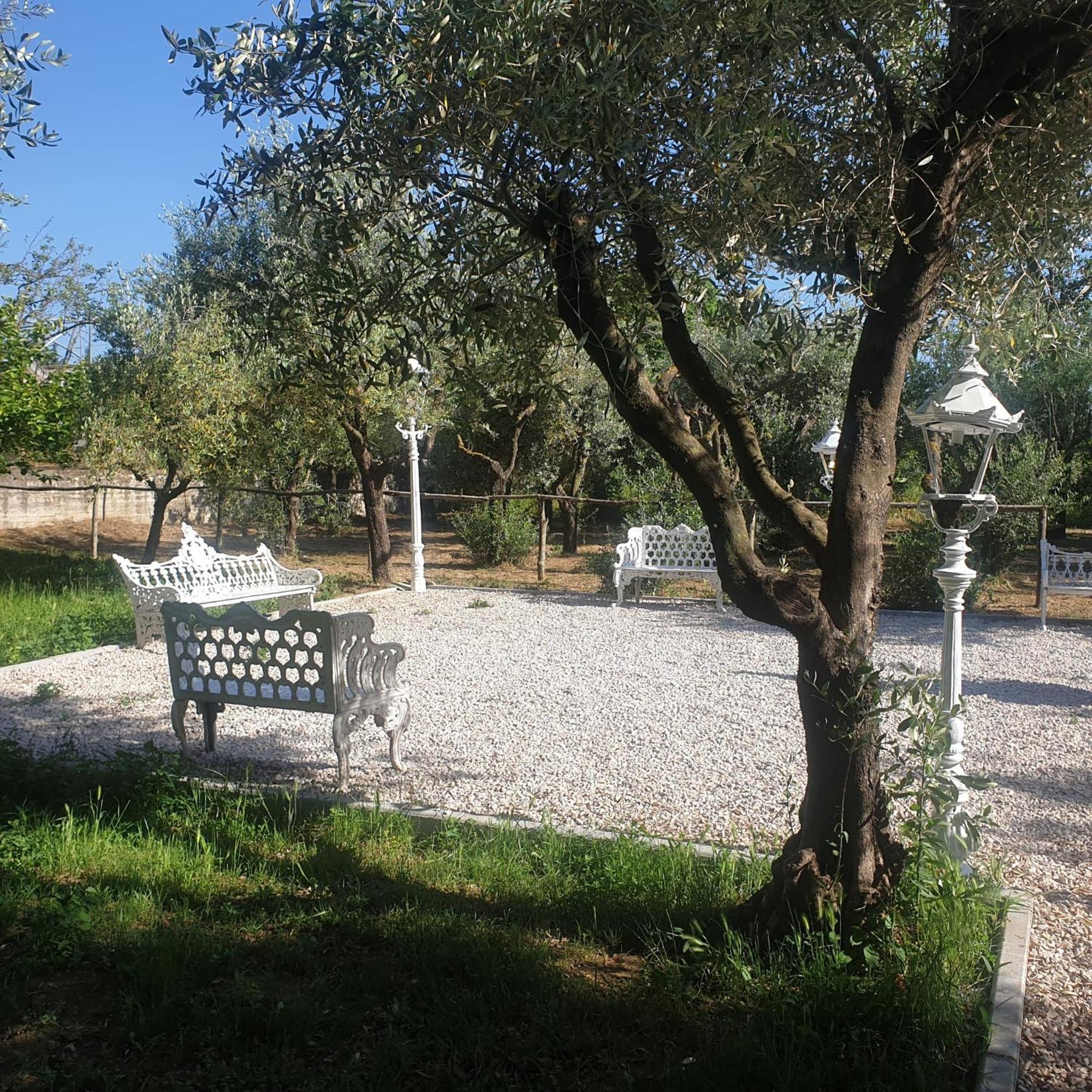 Tenuta Oliva Fisciano Exterior foto